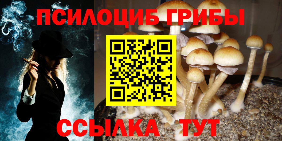 Псилоцибиновые грибы ЛСД  закладка  Ярославль  Вход с VPN  Псилоцибиновые грибы Cubensis 