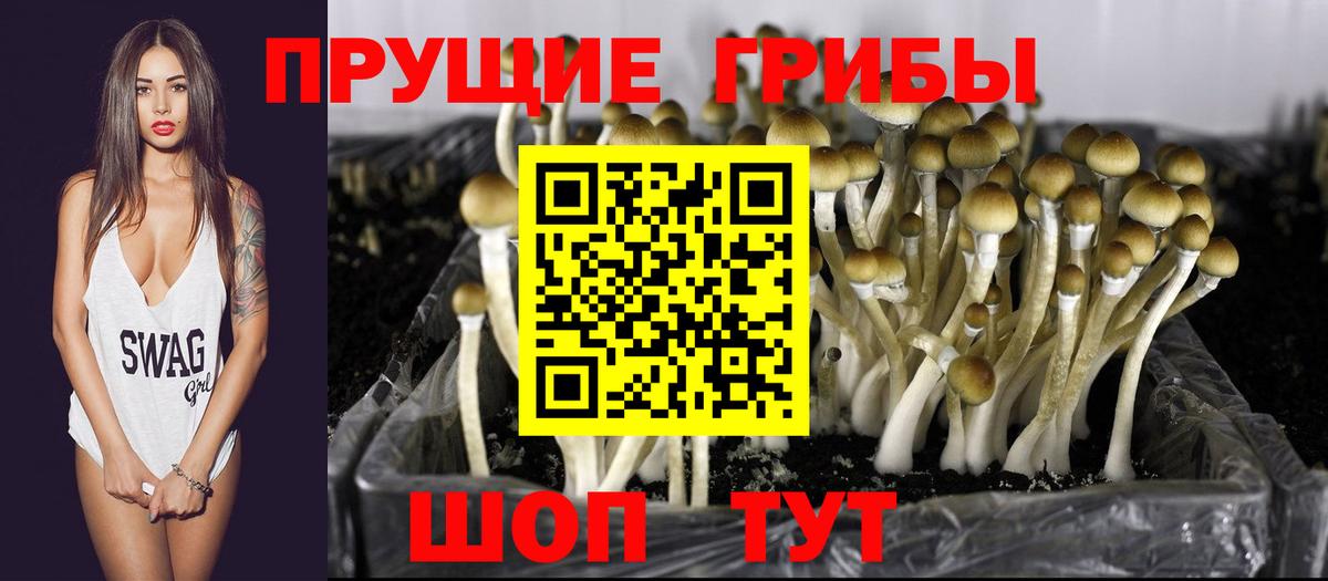 Галлюциногенные грибы GOLDEN TEACHER Ярославль